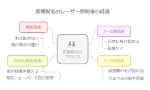 医療脱毛施術後の経過